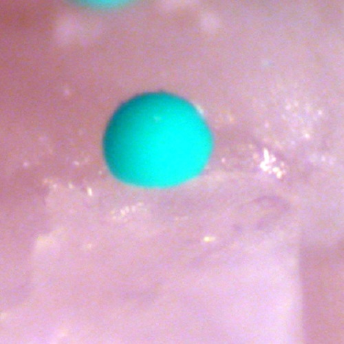 agardite-(Y)