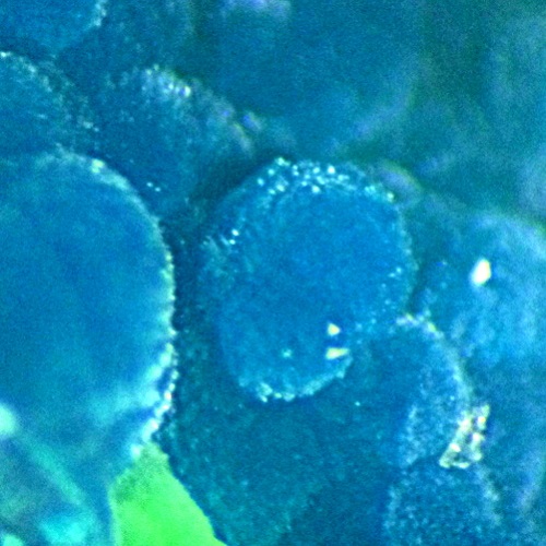 arhbarite