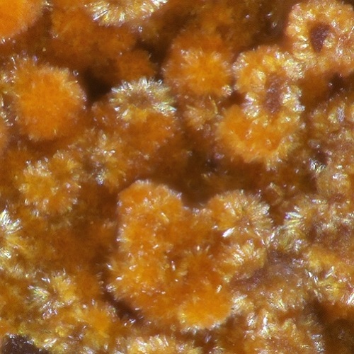 badenweilerite
