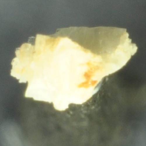 bavenite