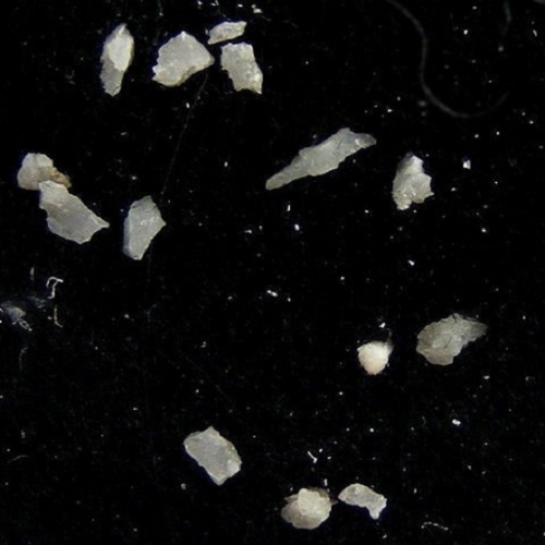 borcarite