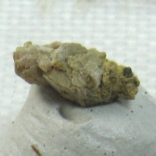 botryogen