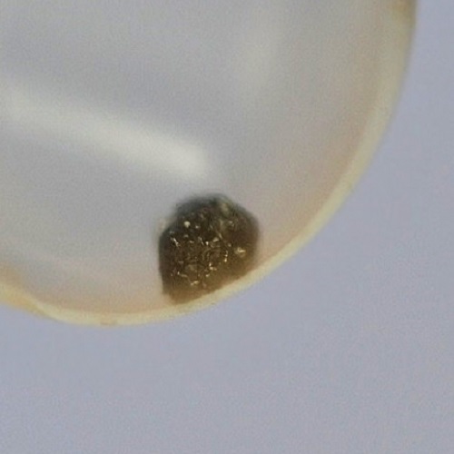 christofsch&auml;ferite-(Ce)