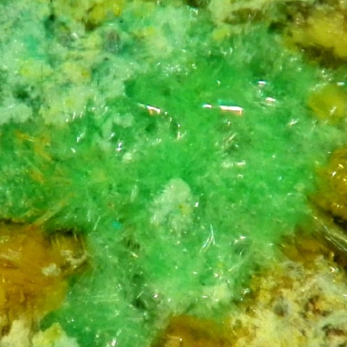 cuprosklodowskite