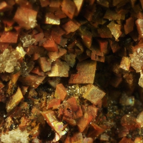 dickite