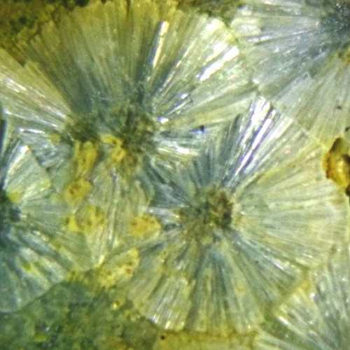 fluorwavellite