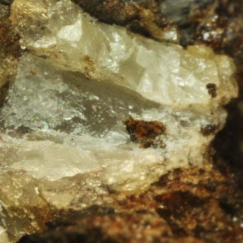 scheelite