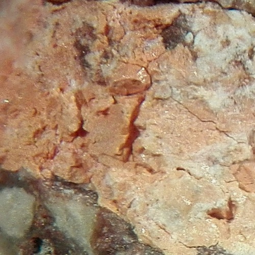 shannonite