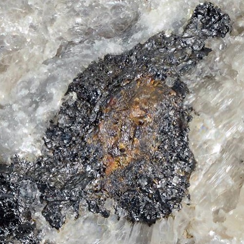 tantalowodginite