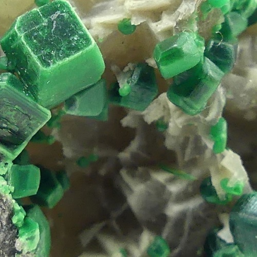torbernite